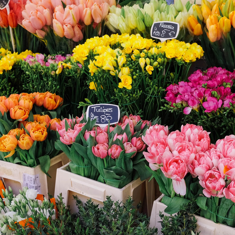 French Flower Market (122 Piece Wooden Jigsaw Puzzle) - Nautilus Puzzles - Wooden Jigsaw Puzzles For Adults