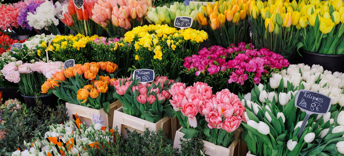 French Flower Market (122 Piece Wooden Jigsaw Puzzle) - Nautilus Puzzles - Wooden Jigsaw Puzzles For Adults