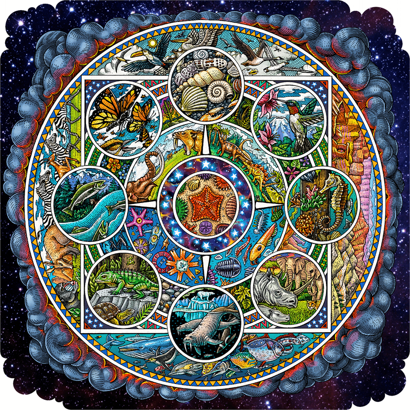From the Tide Pools to the Stars (503 Piece Wooden Jigsaw Puzzle) - Nautilus Puzzles - Wooden Jigsaw Puzzles For Adults