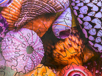 Ocean Treasures (145 Piece Ocean Wooden Jigsaw Puzzle) - Nautilus Puzzles - Wooden Jigsaw Puzzles For Adults