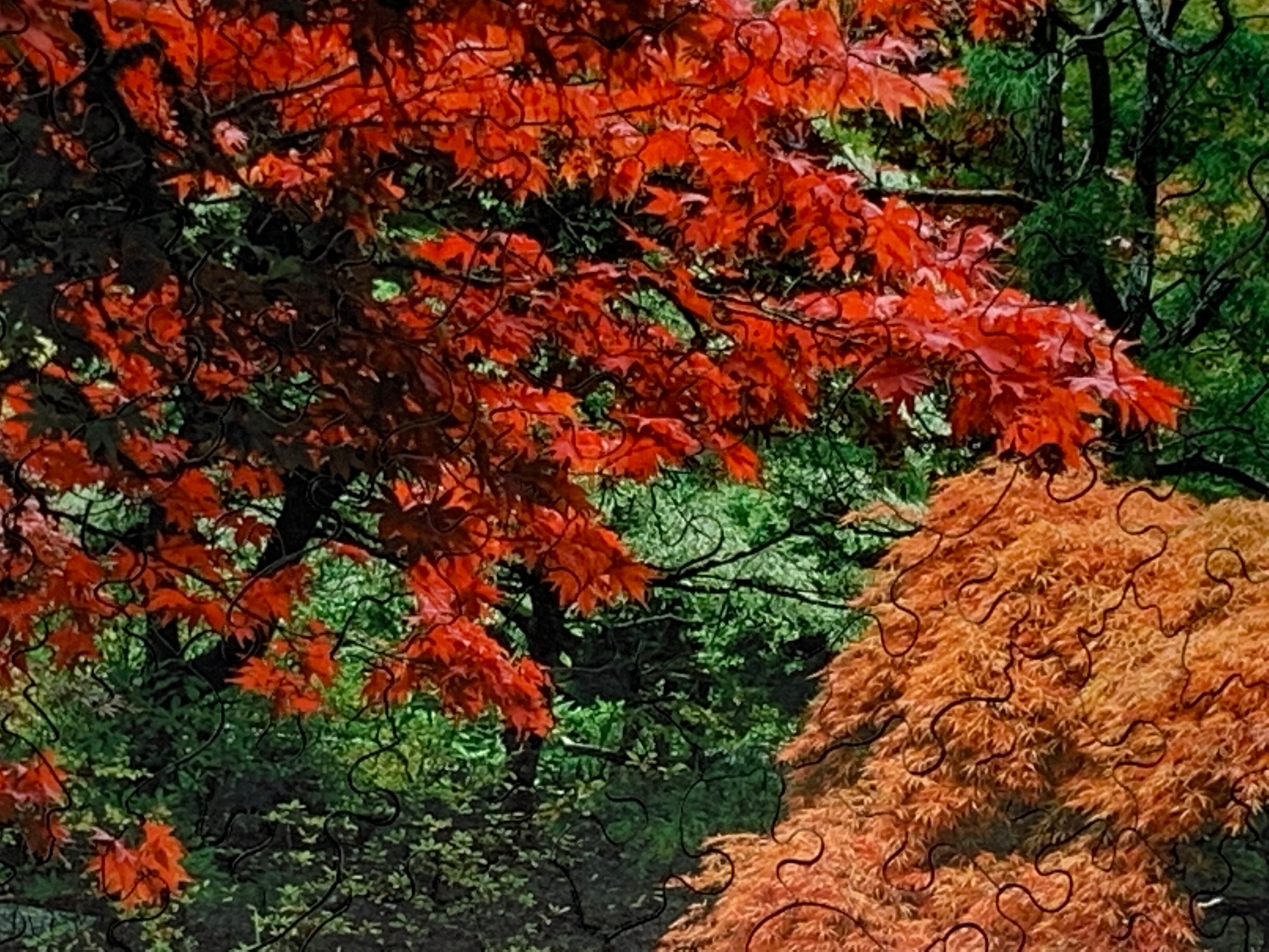 Butchart Gardens in Fall (190 Piece Wooden Jigsaw Puzzle) - Nautilus Puzzles - Wooden Jigsaw Puzzles For Adults