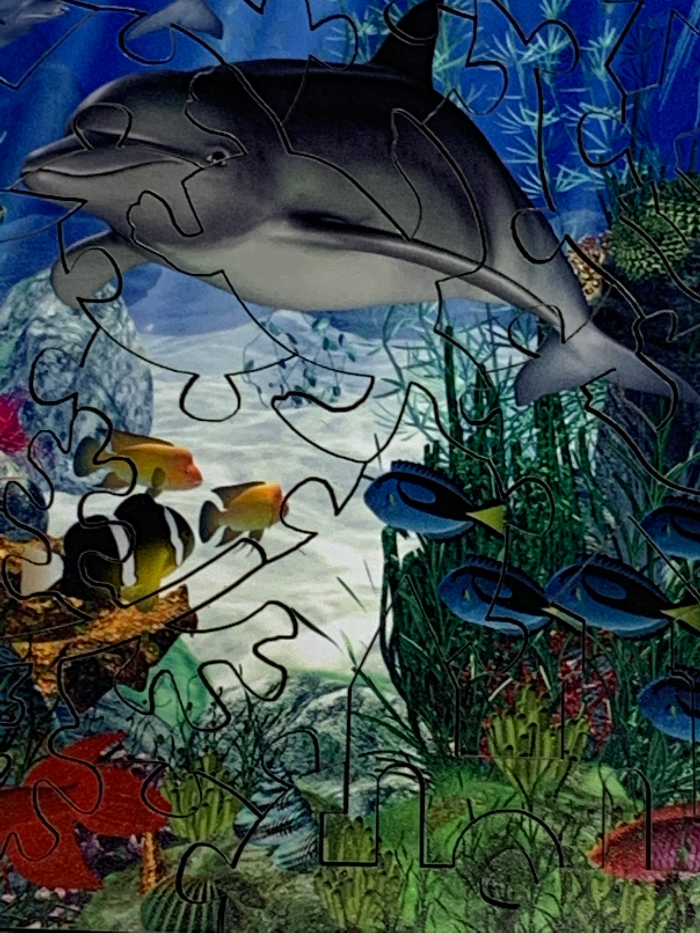 Dolphin Reef (49 Piece Mini Wooden Jigsaw Puzzle) - Nautilus Puzzles - Wooden Jigsaw Puzzles For Adults