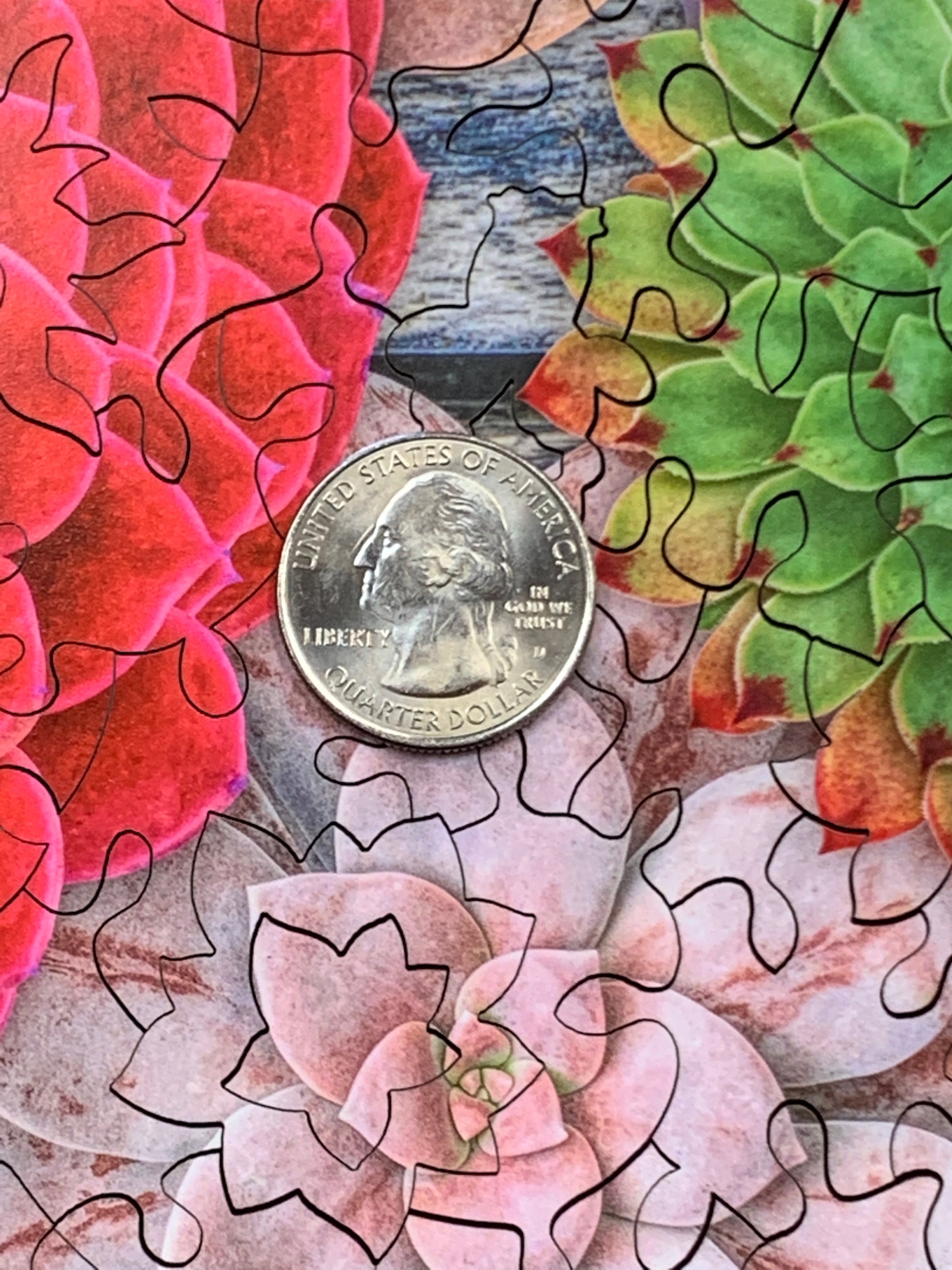 Succulent Love (201 Piece Wooden Jigsaw Puzzle - Nautilus Puzzles - Wooden Jigsaw Puzzles For Adults