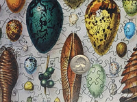 Bird Eggs (258 Piece Wooden Jigsaw Puzzle) - Nautilus Puzzles - Wooden Jigsaw Puzzles For Adults