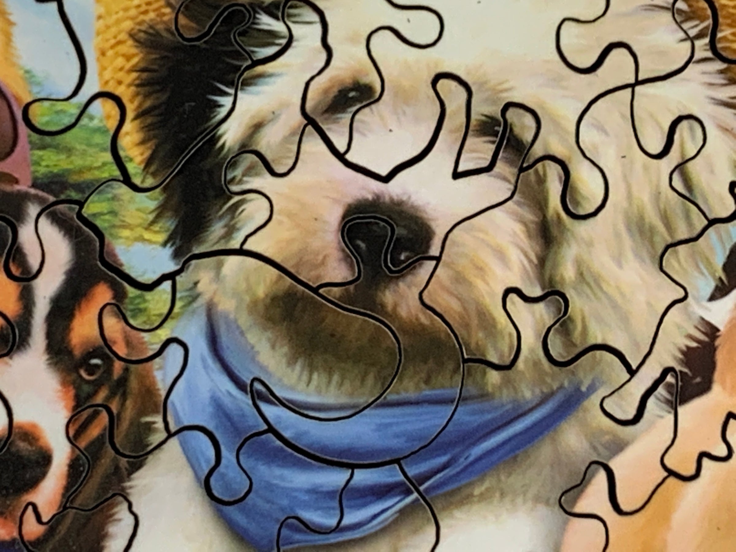 Dogs in Togs (150 Piece Wooden Jigsaw Puzzle) - Nautilus Puzzles - Wooden Jigsaw Puzzles For Adults