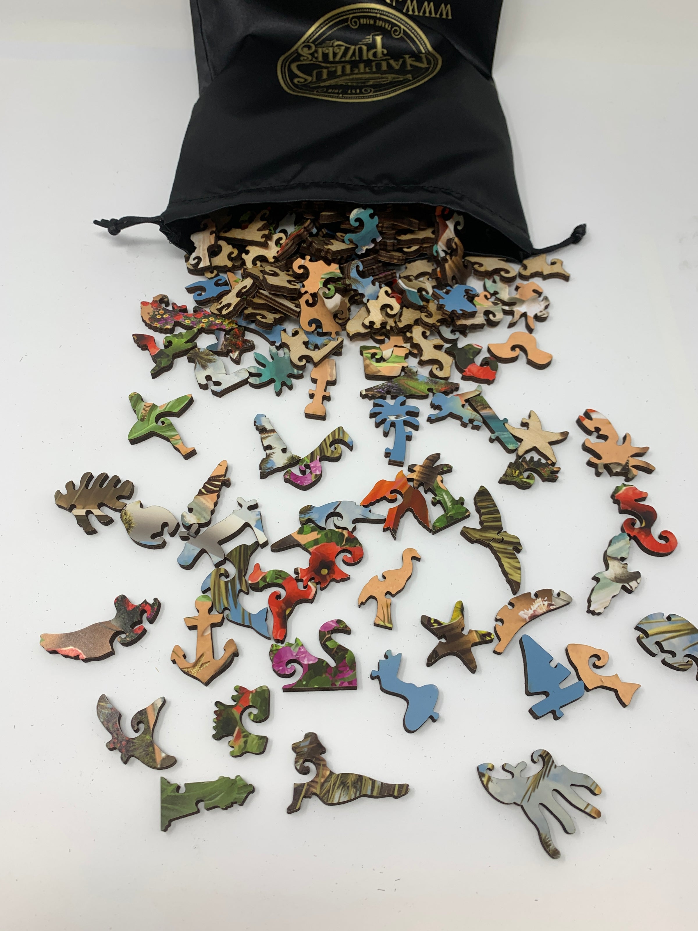 You Can Dream (300 Piece Wooden Jigsaw Puzzle) - Nautilus Puzzles - Wooden Jigsaw Puzzles For Adults