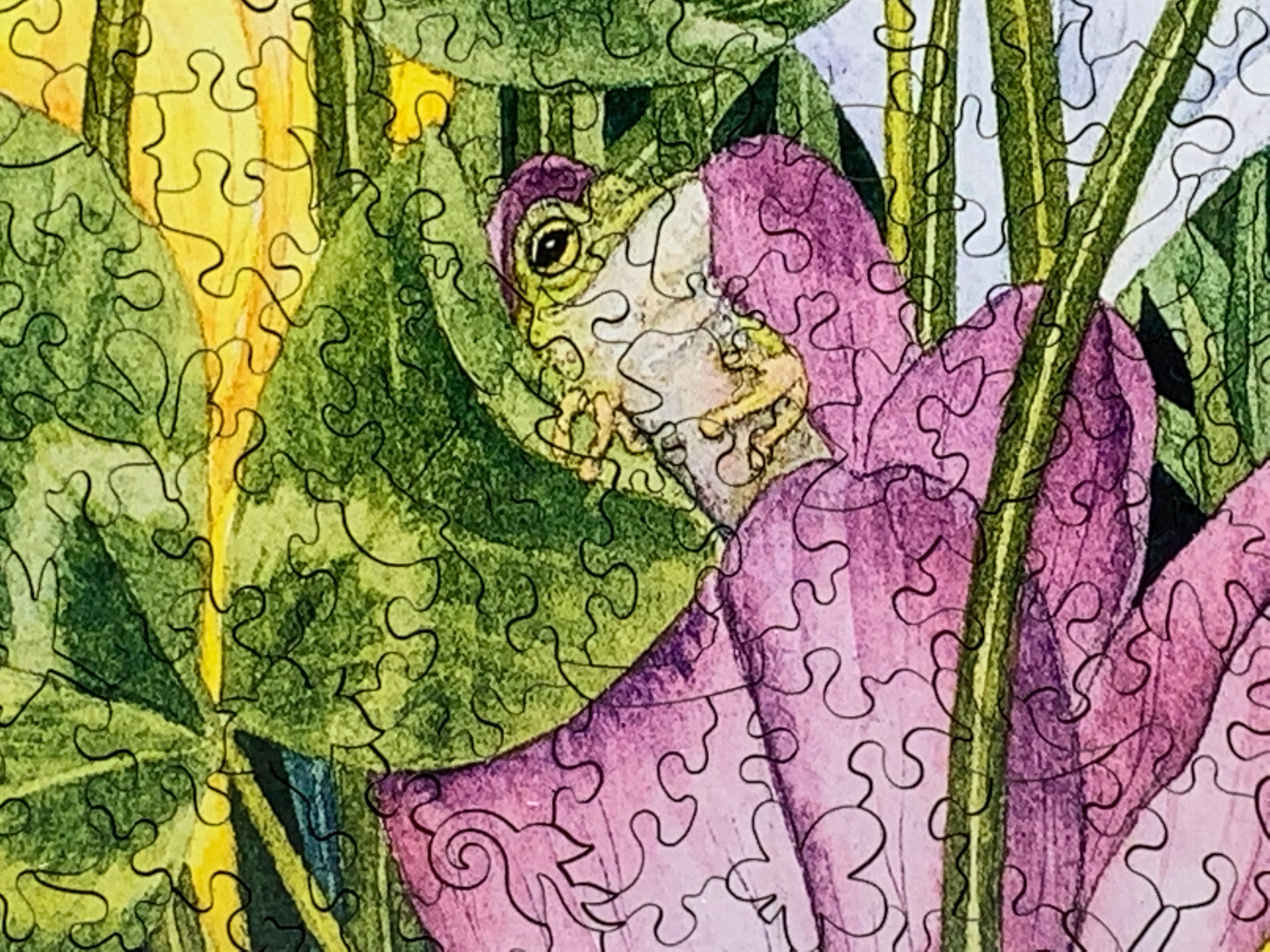 Croakus (300 Piece Wooden Jigsaw Puzzle) | Nautilus Puzzles