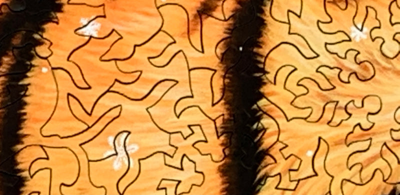Wentworth puzzles