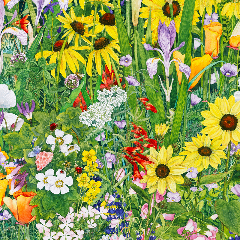 Look Who's Hiding (50 Piece Mini Wooden Jigsaw Puzzle) - Nautilus Puzzles - Wooden Jigsaw Puzzles For Adults