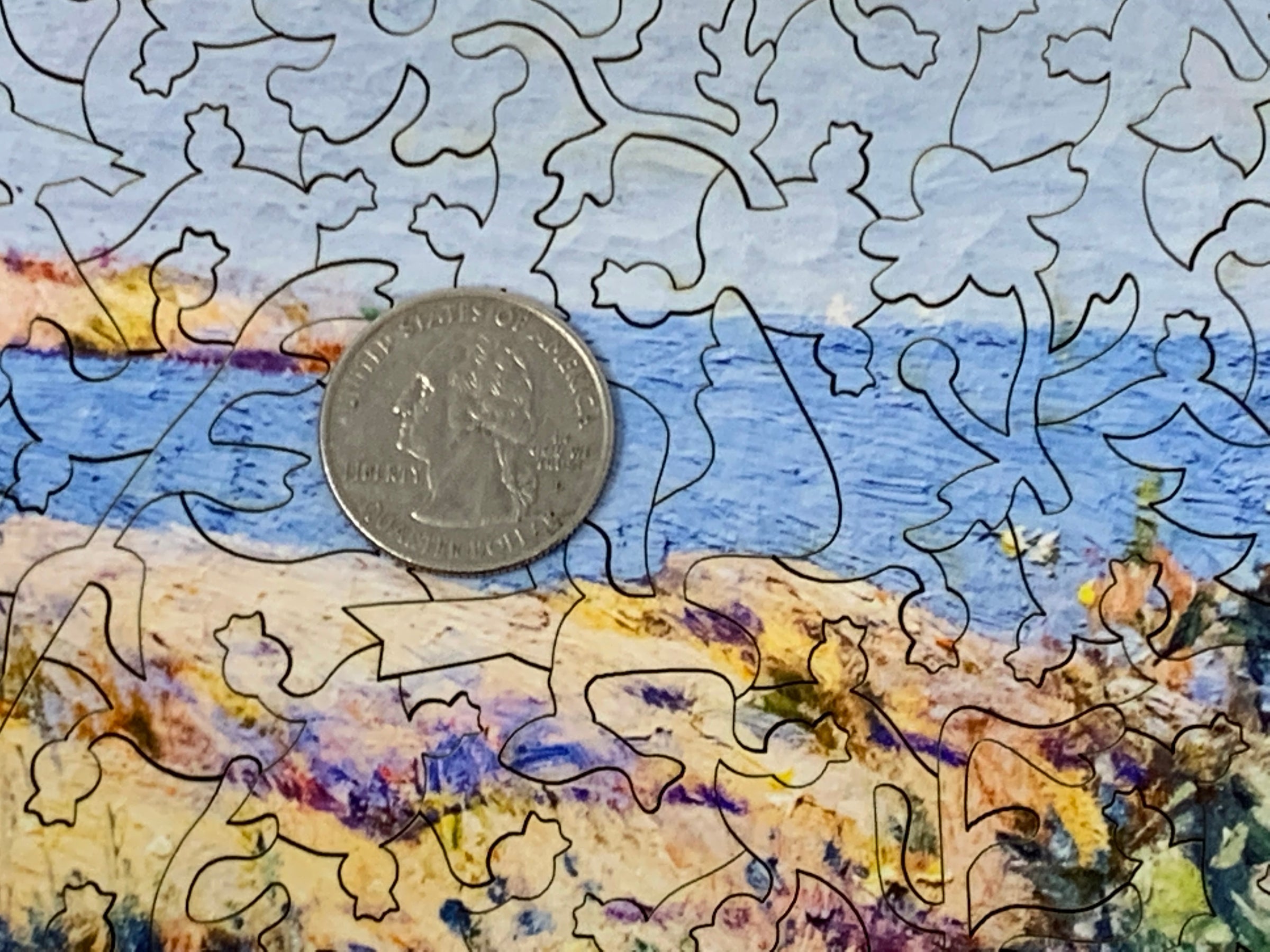 Poppies, Isles of Shoals, Maine by Childe Hassam (380 Piece Wooden Jigsaw Puzzle) - Nautilus Puzzles - Wooden Jigsaw Puzzles For Adults