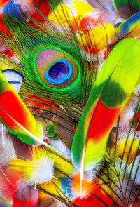 Tropical Feathers - 50 Piece MINI Wooden Jigsaw Puzzle - Nautilus Puzzles - Wooden Jigsaw Puzzles For Adults
