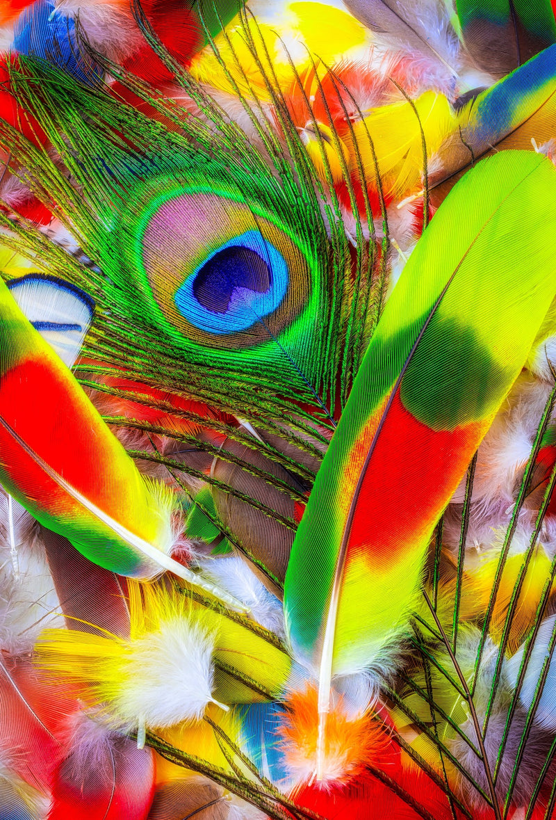 Tropical Feathers - 50 Piece MINI Wooden Jigsaw Puzzle - Nautilus Puzzles - Wooden Jigsaw Puzzles For Adults