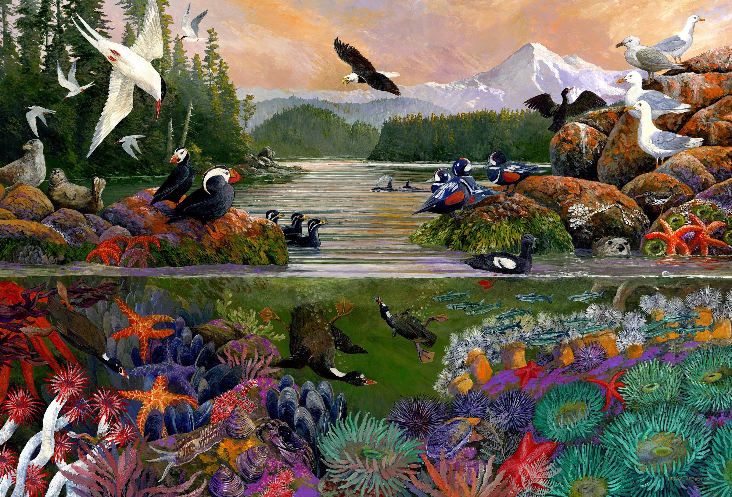 Two Sides of the Sea (501 Piece Wooden Jigsaw Puzzle) - Nautilus Puzzles - Wooden Jigsaw Puzzles For Adults
