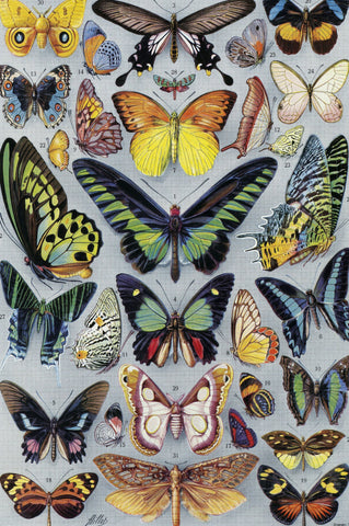 Vintage Butterflies (77 Pieces) Mini Wooden Photo Puzzle