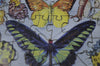 Vintage Butterflies (77 Pieces) Mini Wooden Photo Puzzle - Nautilus Puzzles - Wooden Jigsaw Puzzles For Adults