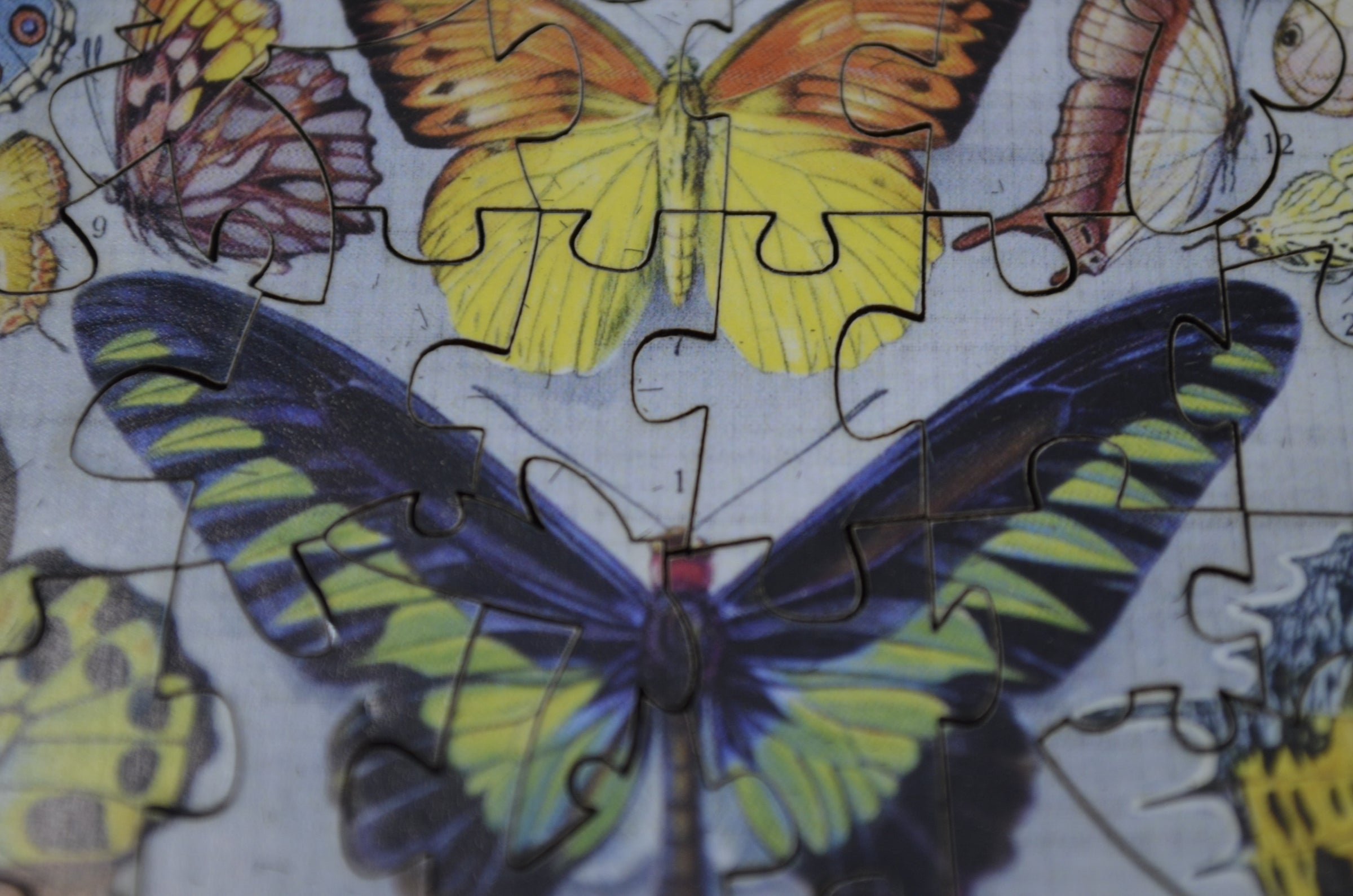 Vintage Butterflies (77 Pieces) Mini Wooden Photo Puzzle - Nautilus Puzzles - Wooden Jigsaw Puzzles For Adults