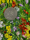 Look Who's Hiding (50 Piece Mini Wooden Jigsaw Puzzle) - Nautilus Puzzles - Wooden Jigsaw Puzzles For Adults
