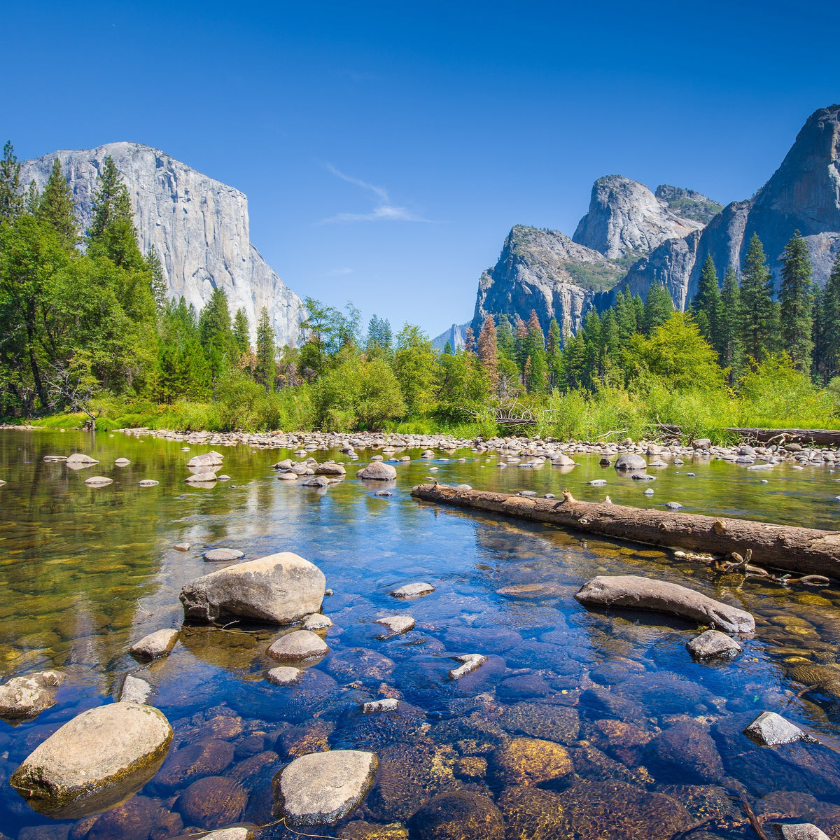 Yosemite Valley in Summer - 245 Piece Wooden Jigsaw Puzzle - Nautilus Puzzles - Wooden Jigsaw Puzzles For Adults