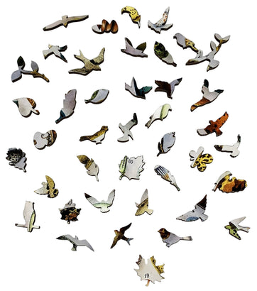 Bird Eggs (258 Piece Wooden Jigsaw Puzzle) - Nautilus Puzzles - Wooden Jigsaw Puzzles For Adults