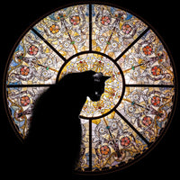 Cathedral Cat - 372 Piece Wooden Jigsaw Puzzle - Nautilus Puzzles - Wooden Jigsaw Puzzles For Adults