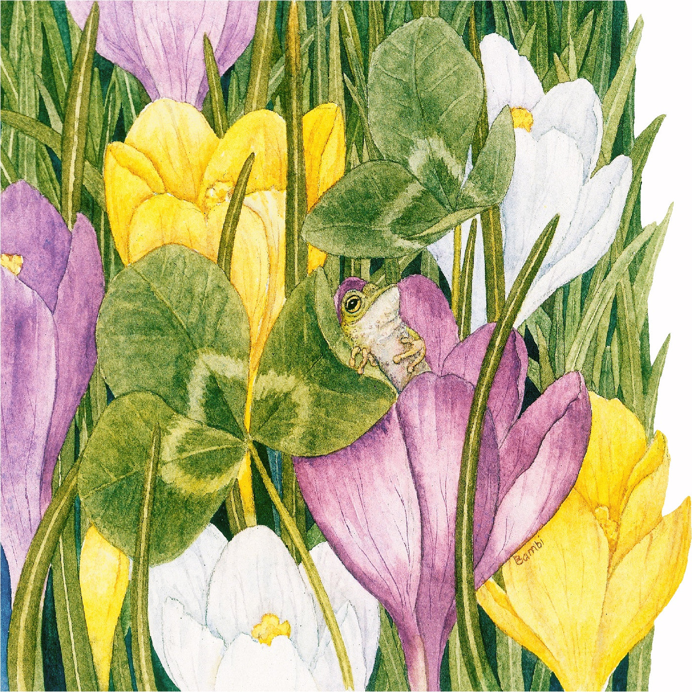 Croakus (300 Piece Wooden Jigsaw Puzzle) - Nautilus Puzzles - Wooden Jigsaw Puzzles For Adults