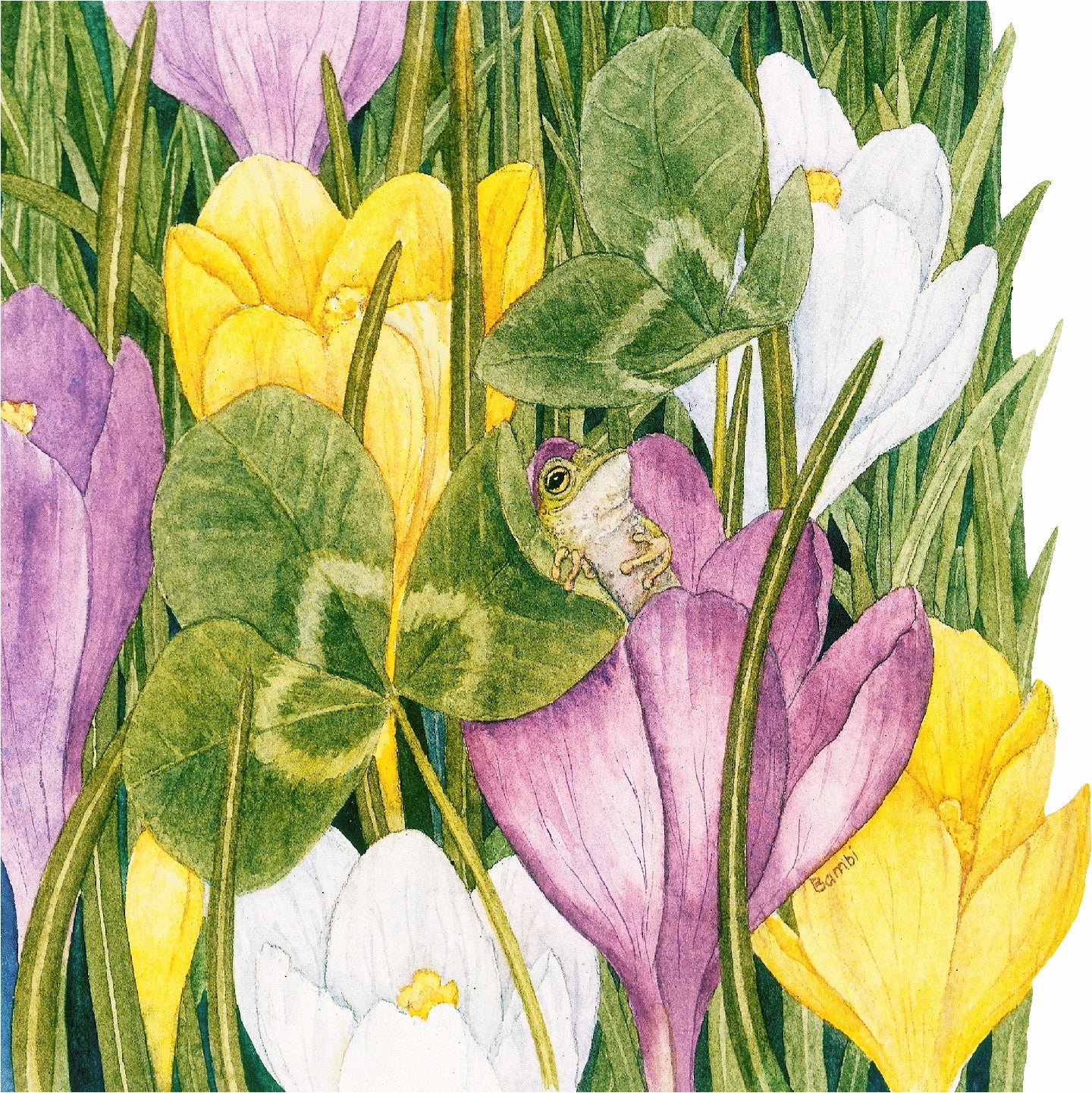 Croakus (300 Piece Wooden Jigsaw Puzzle) - Nautilus Puzzles - Wooden Jigsaw Puzzles For Adults