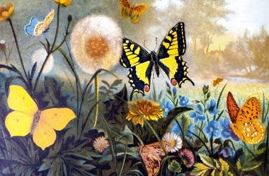 Dandelion Party - 50 Piece Mini Wooden Jigsaw Puzzle - Nautilus Puzzles - Wooden Jigsaw Puzzles For Adults
