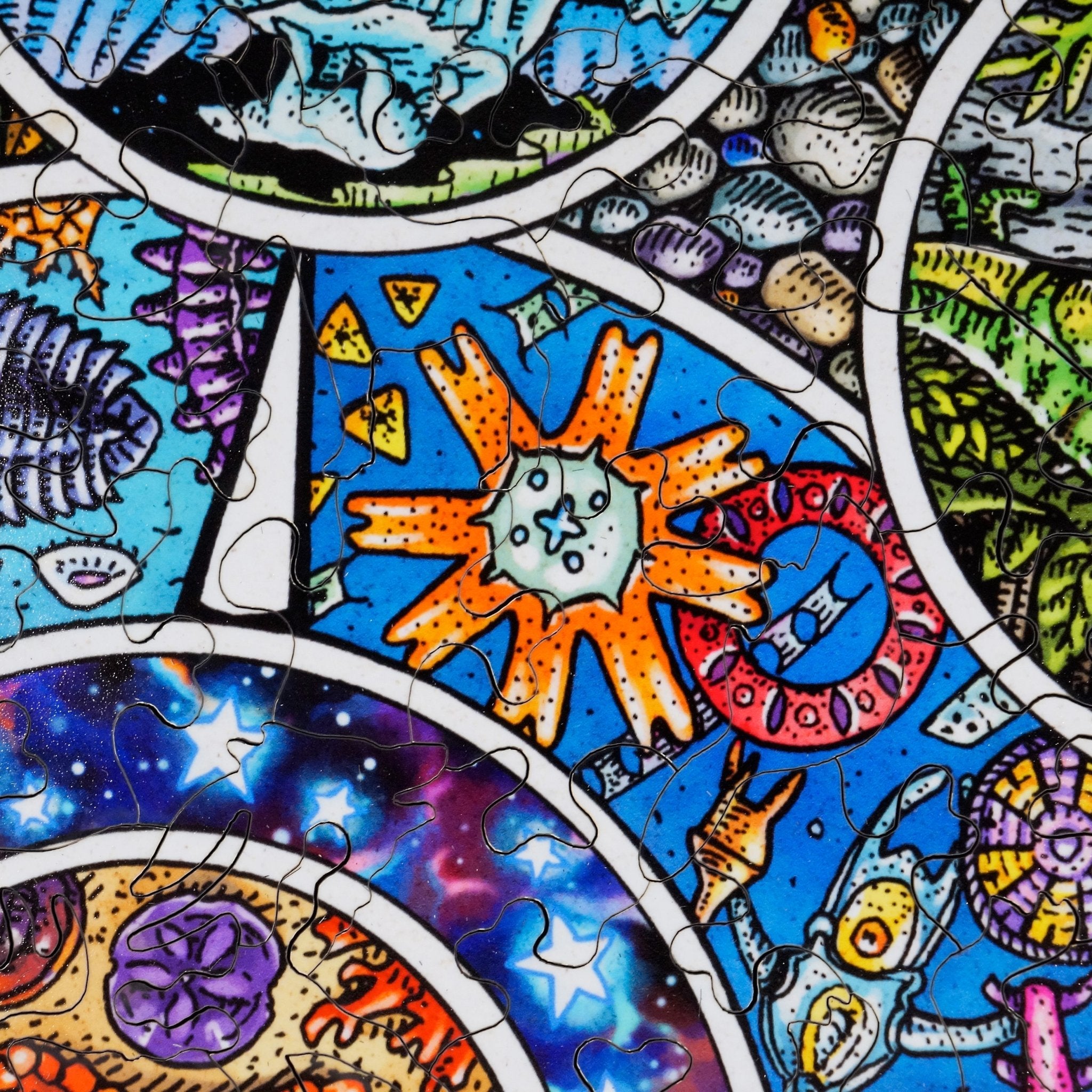 From the Tide Pools to the Stars (503 Piece Wooden Jigsaw Puzzle) - Nautilus Puzzles - Wooden Jigsaw Puzzles For Adults