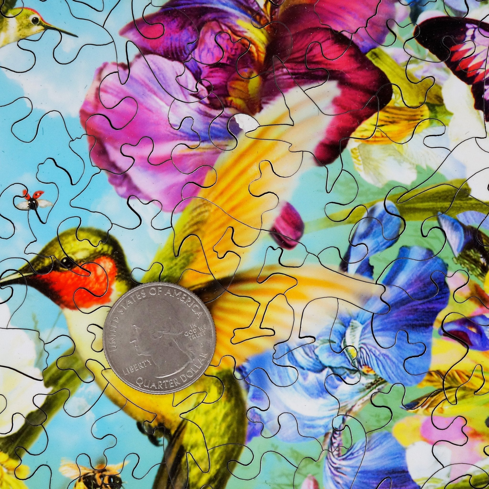 Hummingbird Heaven - 360 Piece Wooden Jigsaw Puzzle - Nautilus Puzzles - Wooden Jigsaw Puzzles For Adults