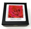 Raindrops on a Red Rose - 59 Piece Mini Valentine's Day Wooden Puzzle - Nautilus Puzzles - Wooden Jigsaw Puzzles For Adults