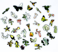 Haeckel's Orchids - 472 Piece Wooden Jigsaw Puzzle - Nautilus Puzzles - Wooden Jigsaw Puzzles For Adults