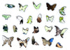 Sloth Among the Butterflies | 143 Pieces | Sloth Jigsaw Puzzle