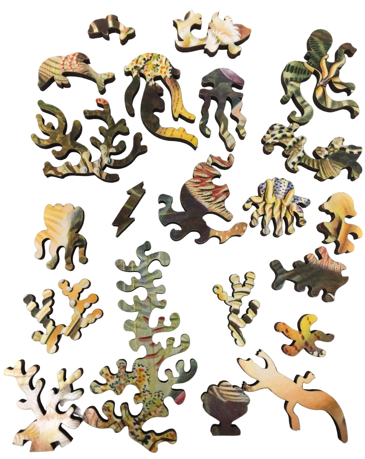 Sea Anemones by Ernst Haeckel - 288 Piece Wooden Jigsaw Puzzle - Nautilus Puzzles - Wooden Jigsaw Puzzles For Adults