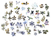 Four Seasons (301 Piece Wooden Jigsaw Puzzle) - Nautilus Puzzles - Wooden Jigsaw Puzzles For Adults