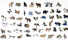 Noahs Ark Puzzle - Nautilus Puzzles - Wooden Jigsaw Puzzles For Adults