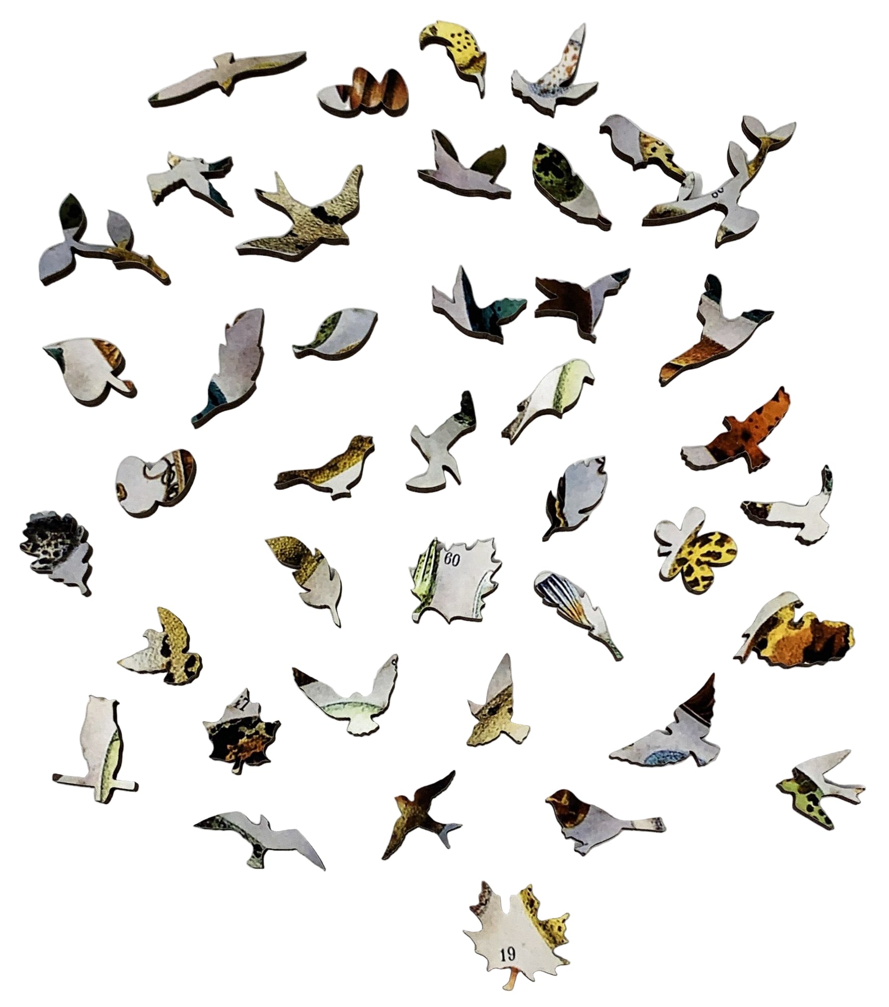 Bird Eggs (258 Piece Wooden Jigsaw Puzzle) | Nautilus Puzzles