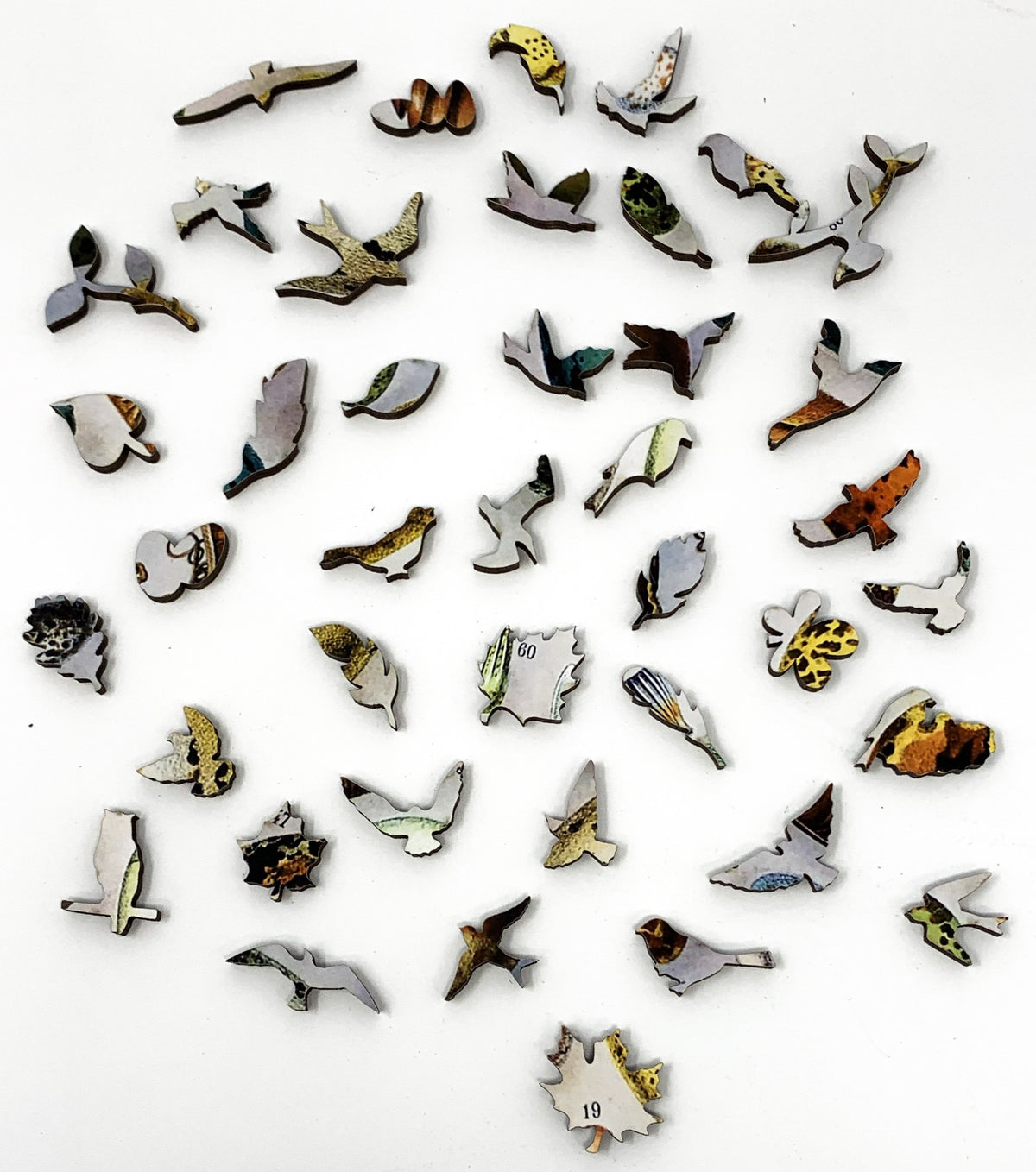 Bird Eggs (258 Piece Wooden Jigsaw Puzzle) - Nautilus Puzzles - Wooden Jigsaw Puzzles For Adults