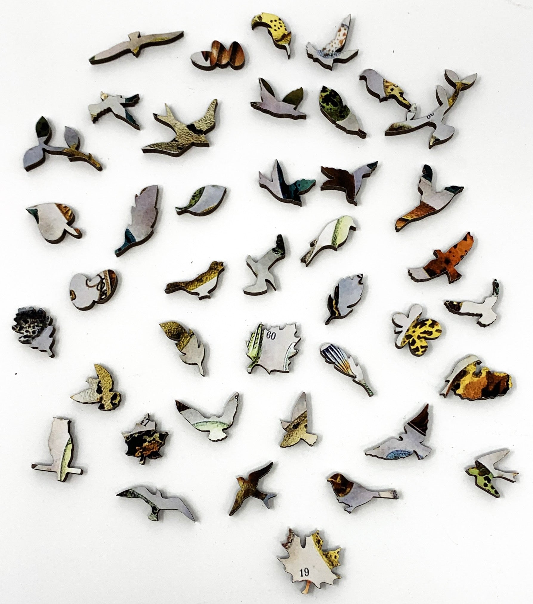 Bird Eggs (258 Piece Wooden Jigsaw Puzzle) - Nautilus Puzzles - Wooden Jigsaw Puzzles For Adults