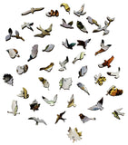 Bird Eggs (258 Piece Wooden Jigsaw Puzzle)