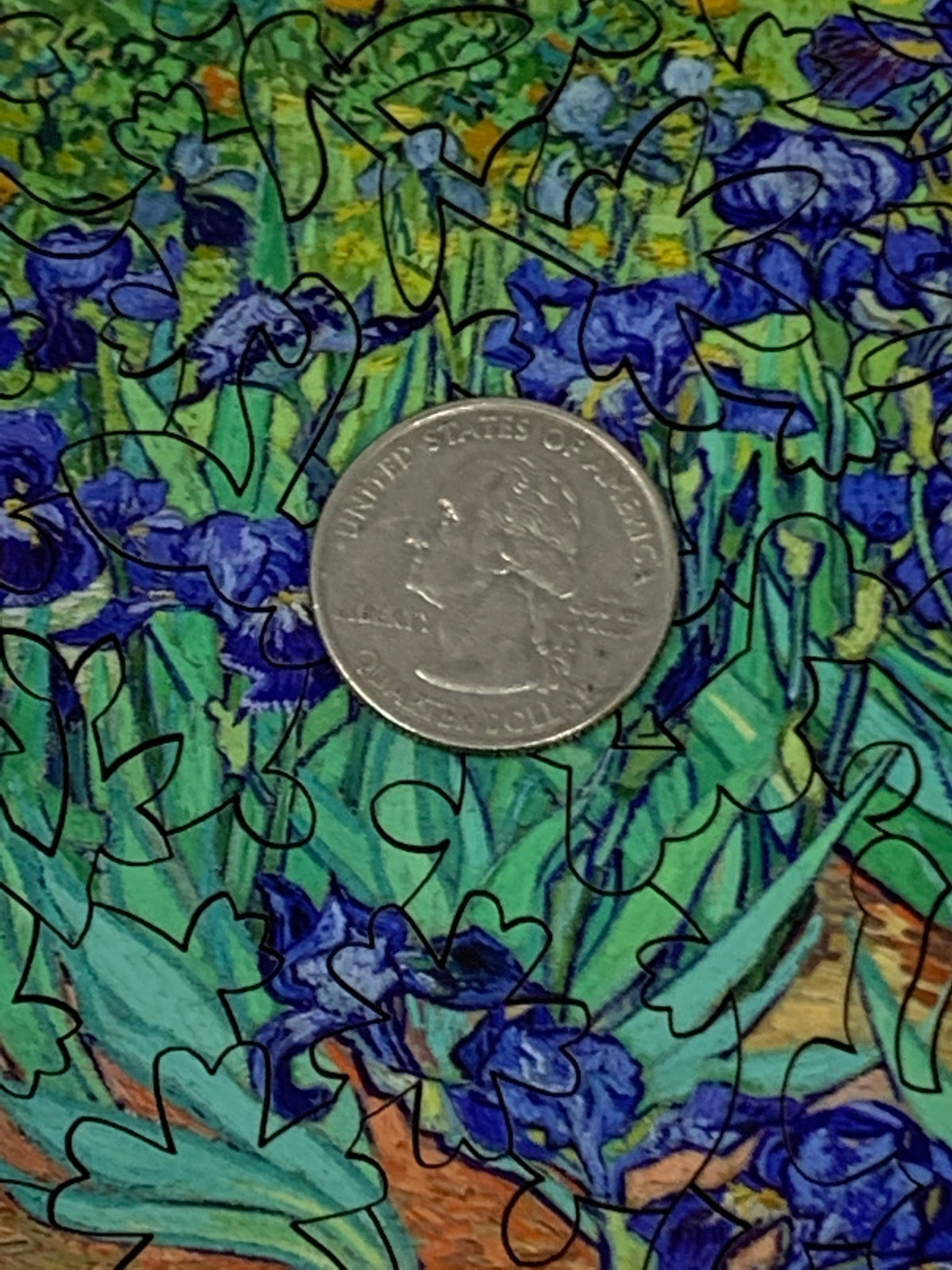 Irises - Van Gogh| 50 Piece Mini Puzzle - Nautilus Puzzles - Wooden Jigsaw Puzzles For Adults