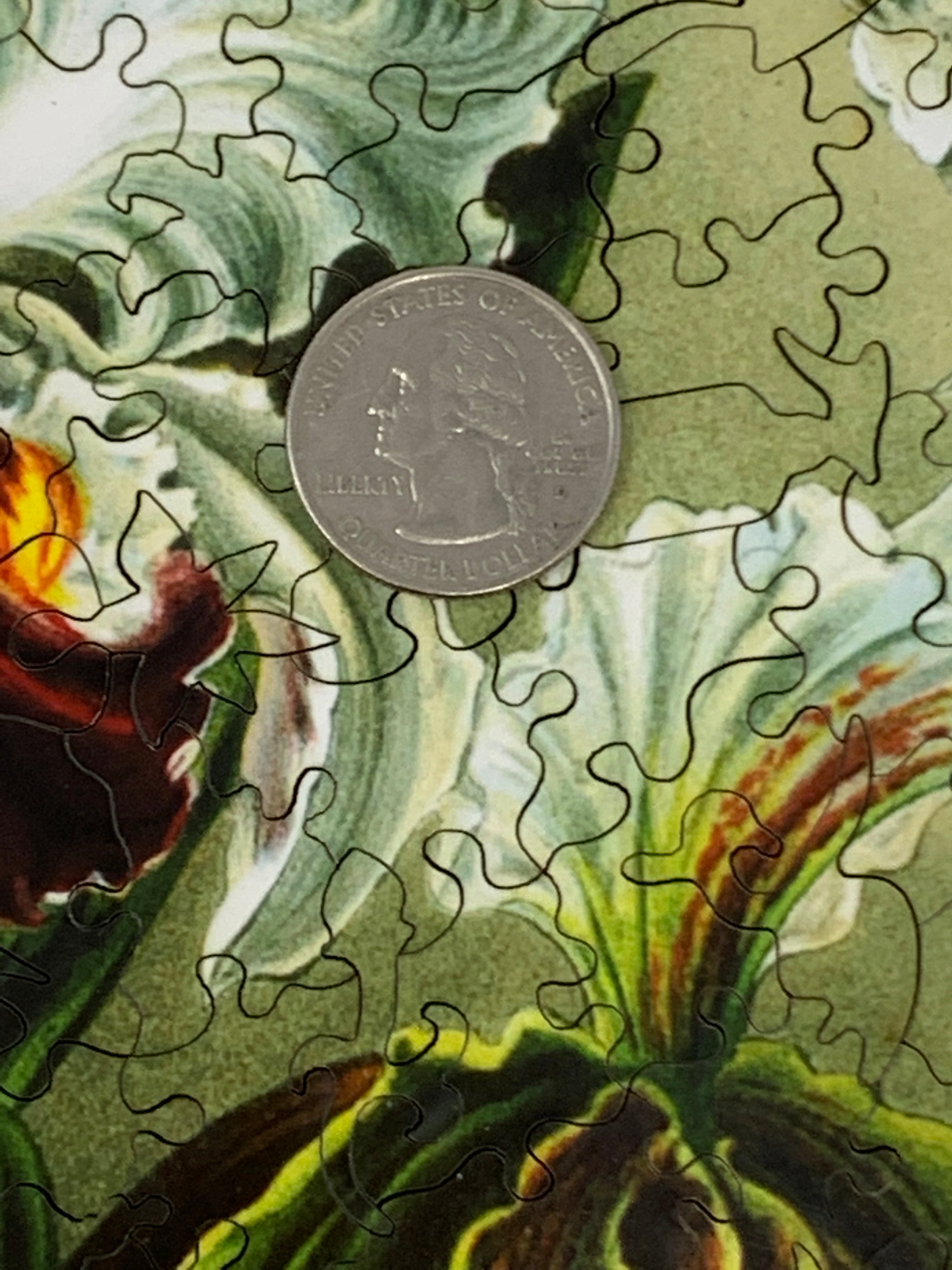 Haeckel's Orchids - 472 Piece Wooden Jigsaw Puzzle | Nautilus Puzzles