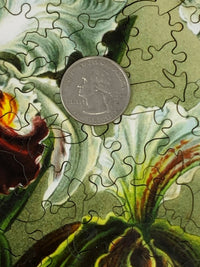 Haeckel's Orchids - 472 Piece Wooden Jigsaw Puzzle - Nautilus Puzzles - Wooden Jigsaw Puzzles For Adults