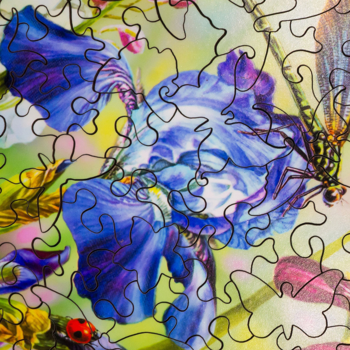 Purple Daze (476 Piece Wooden Jigsaw Puzzle) - Nautilus Puzzles - Wooden Jigsaw Puzzles For Adults