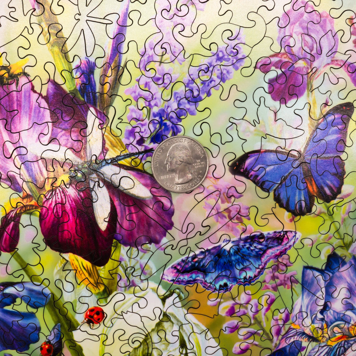 Purple Daze (476 Piece Wooden Jigsaw Puzzle) - Nautilus Puzzles - Wooden Jigsaw Puzzles For Adults