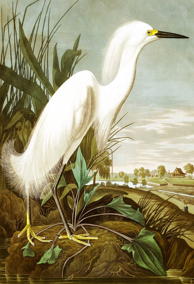 Snowy Heron (50 Pieces) Mini Wooden Puzzle - Nautilus Puzzles - Wooden Jigsaw Puzzles For Adults