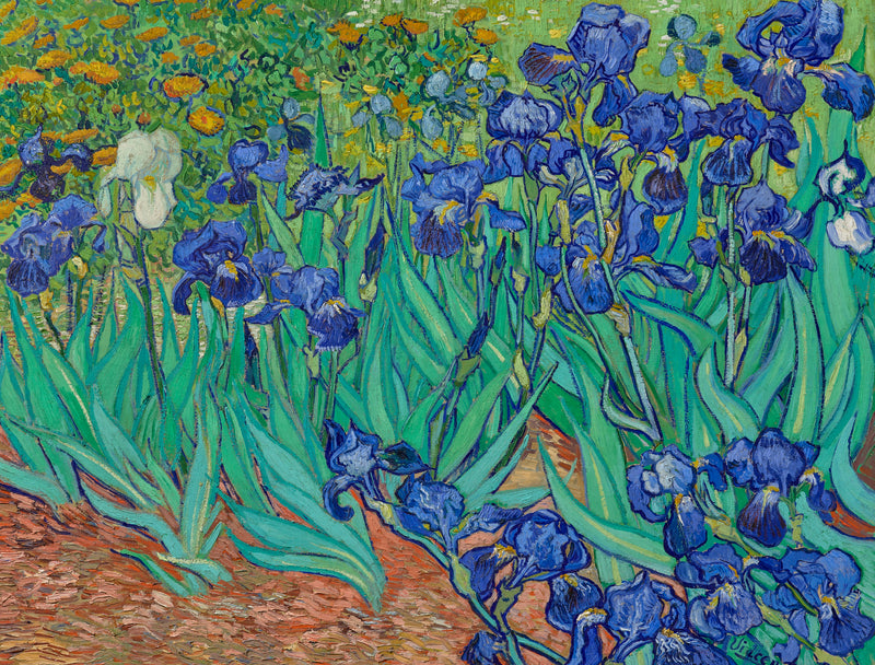 Irises by Vincent Van Gogh (464 Piece Wooden Jigsaw Puzzle) - Nautilus Puzzles - Wooden Jigsaw Puzzles For Adults
